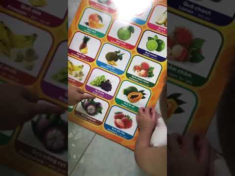Hai dạy em học bằng hình ảnh tranh treo tường - Thái Vân Toys