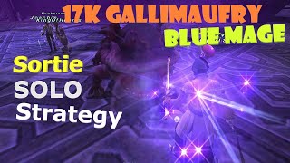 Ffxi Blue Mage Sortie Solo Strategy - 17K Gallimaufry Goal Part 1