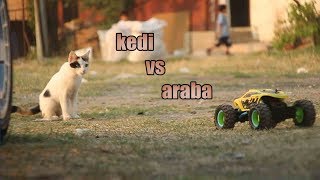 Rc car vs cat (rc araba vs kedi)