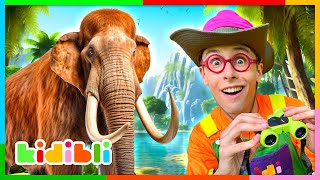 Let's Learn About Prehistoric Times! | Educational Videos For Kids | Kidibli