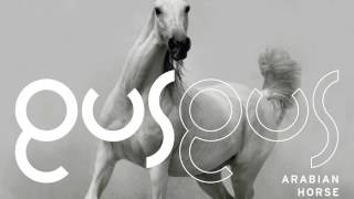 Gusgus - Changes Come 'Arabian Horse' Album