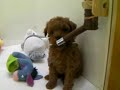 f2 動画24c