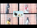 Thecanfamily Larva Song images Thecanfamily Larva Song