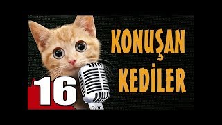 Konuşan Kediler 16 - En Komik Kedi Videoları Part 1