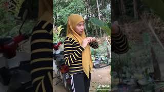 Awek Tudung