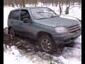 В Ступинском лесу В Ступинском лесу