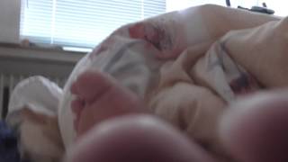 My Wifes Feet