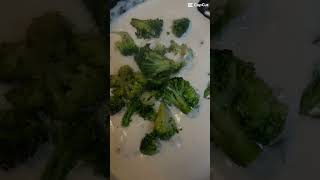 Alfredo With Rotini Pasta