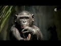 Documentaire les armes de la nature