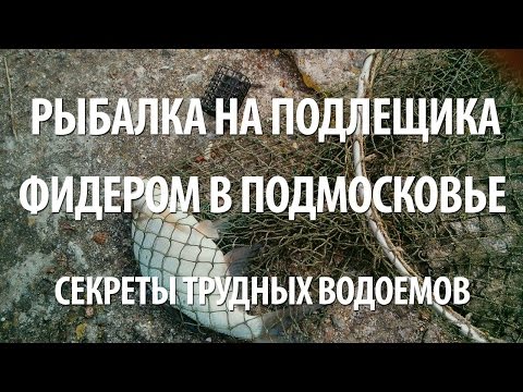 евгений середа ловля на фидер евгений середа ловля на фидер