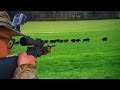 Battues de Sangliers au coeur de l'action - Chasse HD
