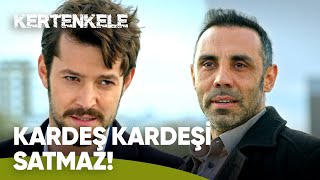 Böyle Dostluk Görülmedi Kertenkele Özel Kolaj