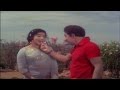 பூ வைத்த | Poo Vaitha | Maattukara Velan | MGR,Jayalalitha | Tamil Movie Song HD