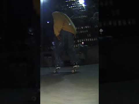 Jake Lewis 1998 Love Park Classic Skateboarding Shorts