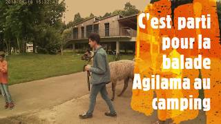 Agilama Au Camping Taille Moyenne