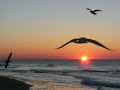 Morning greetings! - Good Morning ecards - Everyday Greeting Cards Morning greetings! - Good Morning ecards - Everyday Greeting Cards
