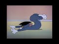 Tom And Jerry English Episodes Professor Tom Cartoons For Kids images Tom And Jerry English Episodes Professor Tom Cartoons For Kids