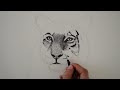 Tigre