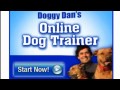 how to toilet train a puppy - how to train a puppy - calm my dog down