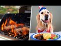 DOG FRIENDLY COOKOUT! (Fourth of July - Super Cooper Sunday #255)