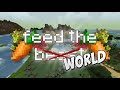 Feed The World - #14 Bees, Trees and Piggies