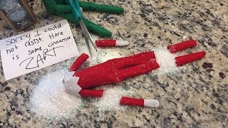 WHAT'S INSIDE THE ELF ON THE SHELF?