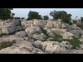 عنبه