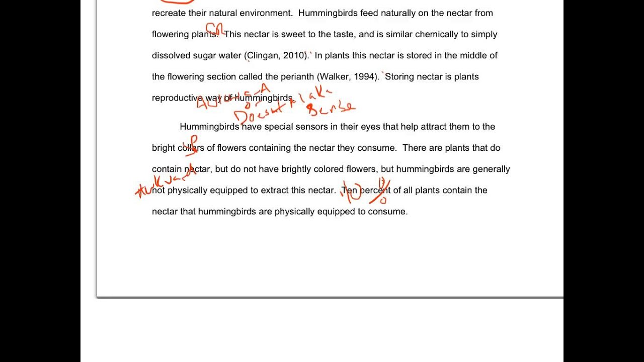 Advanced English Essay Concentration Camps Essay The Holocaust Essay By Bruno Bettelheim Concentration Camps Essay Argumentative Issue Bergen Belsen How To Write A Proposal Essay Paper also Analysis Essay Thesis Example Essays About The Holocaust Auschwitz And Birkenau Concentration Camp My English Essay