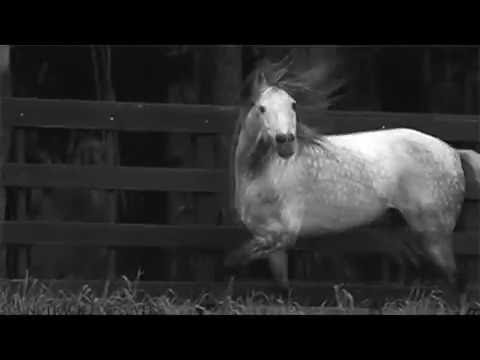 Moonchildren Video