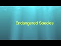 Endangered Species Song