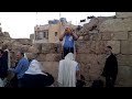 עמיתים