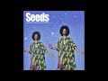Georgia Anne Muldrow - Seeds (Produced by Madlib)