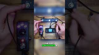 Polar Series Explained