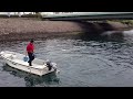 イルカのお散歩 鹿児島水族館横の水路