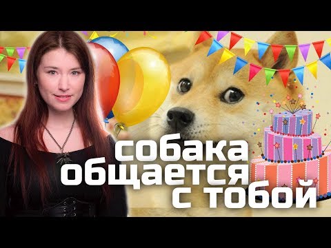 Собака общается с тобой и Неновостям шесть Собака общается с тобой и Неновостям шесть