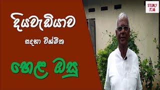 දයවඩයවට හළ ඔස Diyawediyawa Hela Osu Sinhala Story Eka