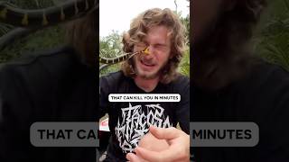 Worlds First Universal Antivenom