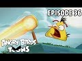 Youtube Thumbnail Angry Birds Toons | Fired Up - S1 Ep36