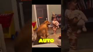 Volkswagen Das Auto Animals Dance Compilations