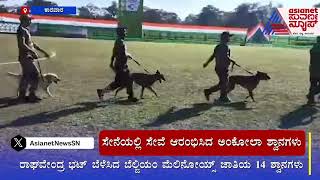 ಸೇನೆಯಲ್ಲಿ ಸೇವೆ ಆರಂಭಿಸಿದ ಅಂಕೋಲಾ ಶ್ವಾನಗಳು | Army Dogs | Suvarna News | Kannada News
