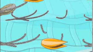 The Story Of Cellulase