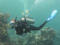 Lionfish
