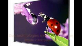 Samsung - Ue40D5000 - Tv Lcd 40 102 Cm - Led - Hd Tv 1080P - 4 Hdmi - Usb