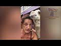 DO NOT play TRY NOT TO LAUGH, it's so HARD YOU WILL DIE TRYING! - Funniest ANIMAL videos
