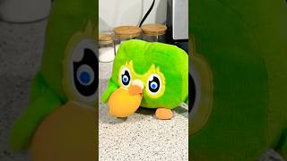 Duo Owl Vs Lemon Funny Irl Chaos Viral Owl Moment