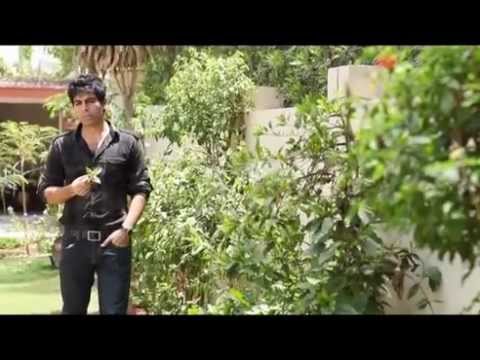 Jawad Teaser.mov