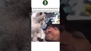 Depremzede Kediye Sahip Çıktı