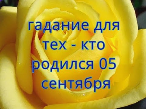 Поздравления для тех кто родился в год обезьяны Поздравления для тех кто родился в год обезьяны
