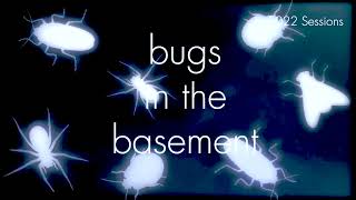 Bugs In The Basement- Haematopinus Eurysternus aka The Shortnosed Cattle Louse