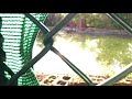 Lost Footage Abandoned Disney World River Country 2016 Lost Footage Abandoned Disney World River Country 2016